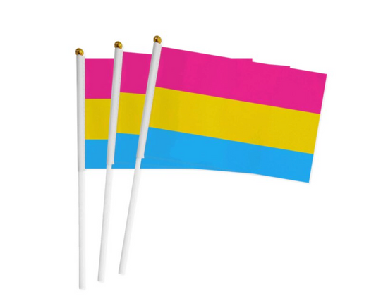 PANSEXUAL PRIDE HAND FLAG